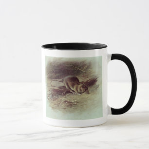 Brown Rat  1918 Mug