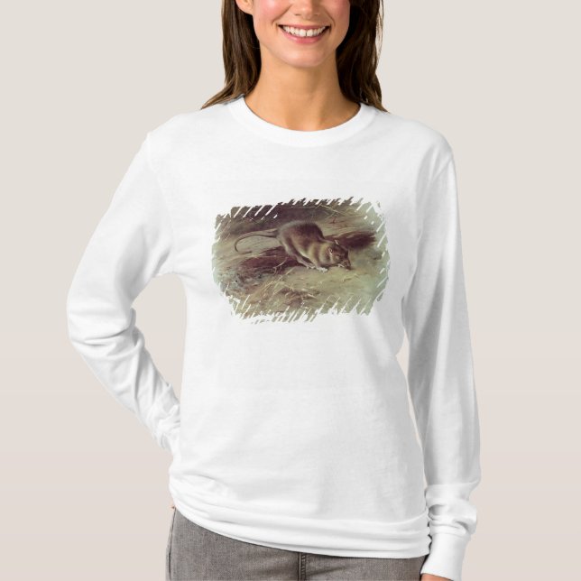 Brown Rat  1918 T-Shirt (Front)