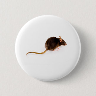 Brown Rat 6 Cm Round Badge