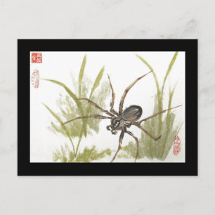 Brown Recluse Spider Postcard