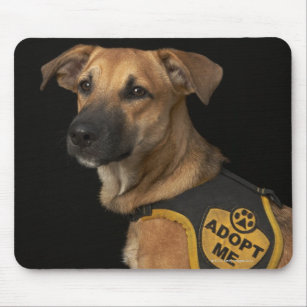 Brown rescue dog with adopt me vest mouse mat