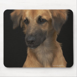 Brown resuce dog with black nose on black mouse mat