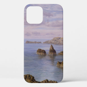 BROWN ROCK FORMATION ON BODY OF WATER DURING DAYTI iPhone 12 CASE
