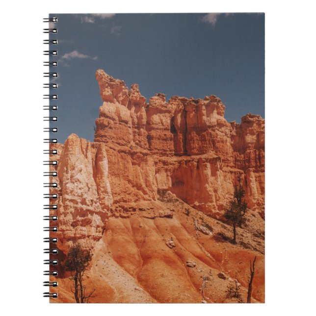 BROWN ROCKS NOTEBOOK (Front)