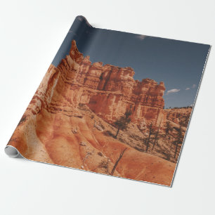 BROWN ROCKS WRAPPING PAPER