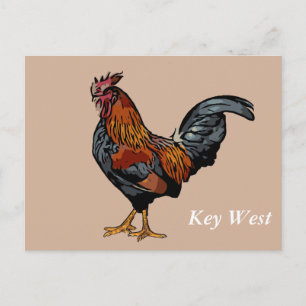 Brown Rooster Key West Post Card