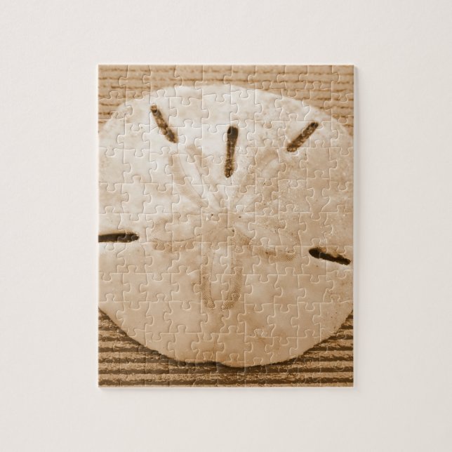 Brown Sand Dollar Jigsaw Puzzle (Vertical)