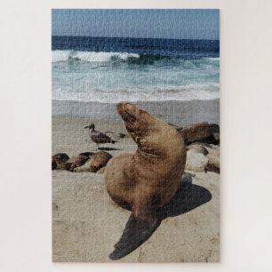 Brown Sea Lion on a Beach Jigsaw Puzzle