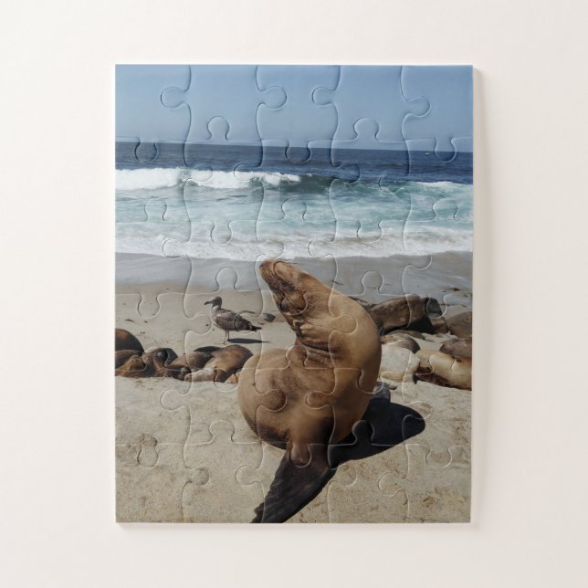 Brown Sea Lion on a Beach Jigsaw Puzzle (Vertical)