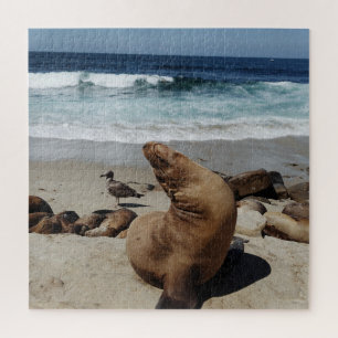 Brown Sea Lion on a Beach Jigsaw Puzzle