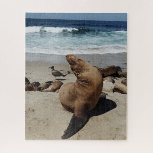 Brown Sea Lion on a Beach Jigsaw Puzzle