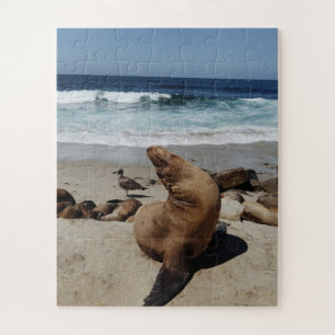 Brown Sea Lion on a Beach Jigsaw Puzzle