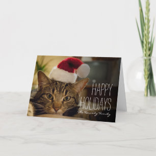 Brown short-haired tabby cat holiday card