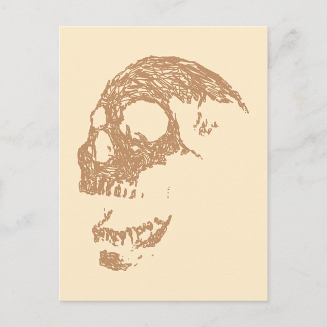 Brown Skull Design. Postcard (Front)