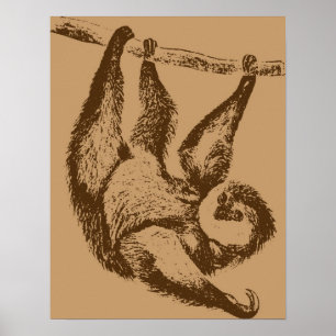 Brown Sloth Poster