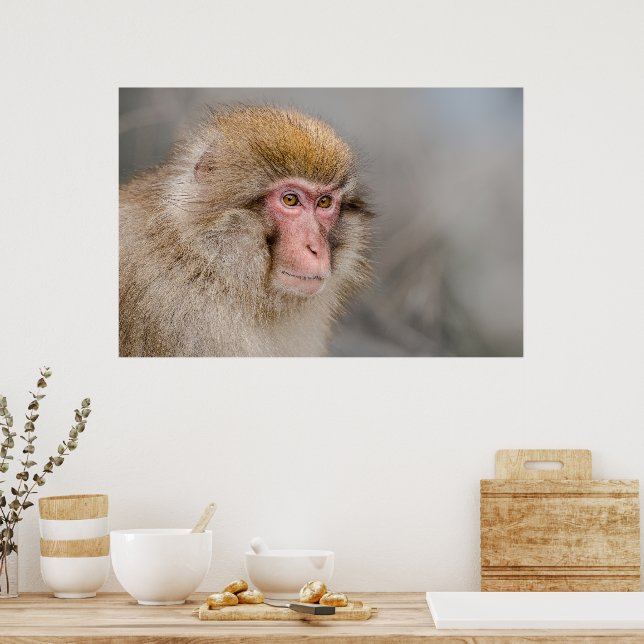 Brown Snow Monkey, Japanese Photography Poster (Kitchen)