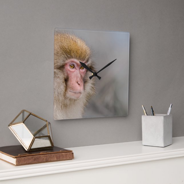 Brown Snow Monkey, Japanese Photography Square Wall Clock (Office)