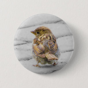 Brown Sparrow 6 Cm Round Badge