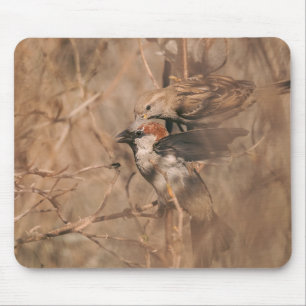 Brown Sparrow Birds Rustic Woodland Wildlife Photo Mouse Mat