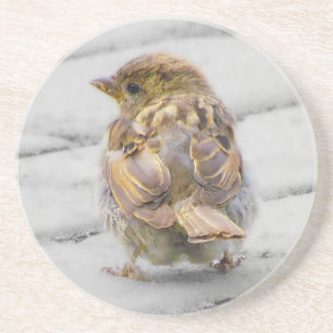 Brown Sparrow Coaster