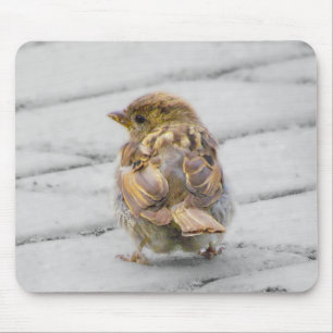 Brown Sparrow Mouse Mat