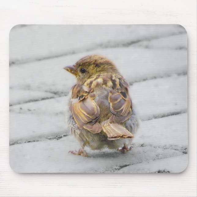 Brown Sparrow Mouse Mat (Front)