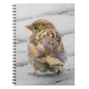 Brown Sparrow Notebook