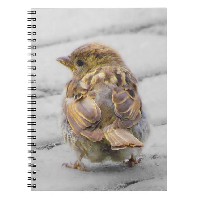 Brown Sparrow Notebook (Front)