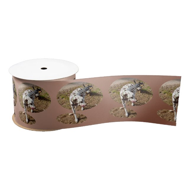 Brown Spotted Dalmatian,  Satin Ribbon (Spool)