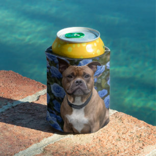 Brown Staffy In Blue Rose Garden, Can Cooler