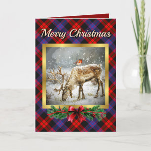 Brown Stag & Robin Tartan Personalised  Holiday Card