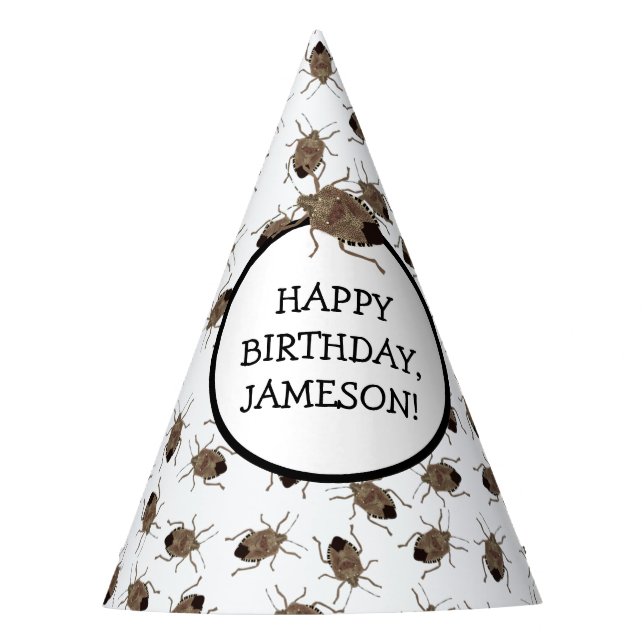 Brown Stink Bug Illustration Personalised Party Party Hat (Front)