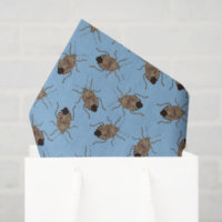 Brown Stink Bugs on Light Blue Patterned