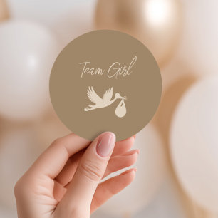 Brown Stork Baby Delivery Gender Reveal Team Girl Classic Round Sticker