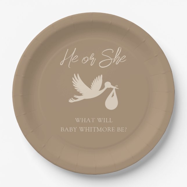 Brown Stork Baby Delivery He or She Gender Reveal Paper Plate (Front)