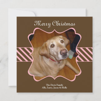 Brown stripe Christmas holiday photo greeting card
