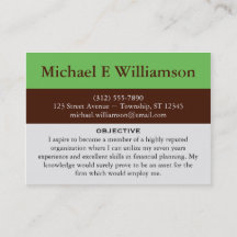 Brown Stripe Green RESUME Business Cards