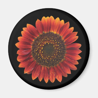 Brown Sunflower Magnet