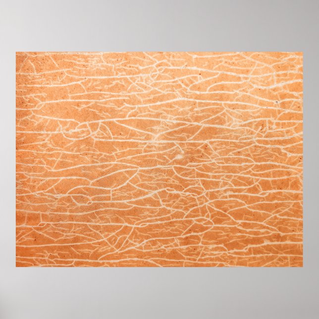 Brown surface poster (Front)