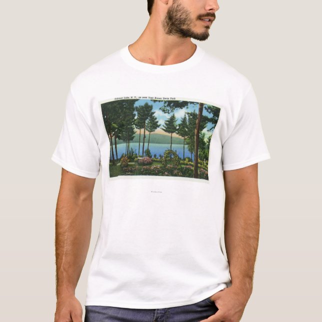 Brown Swan Park View of the Lake T-Shirt (Front)