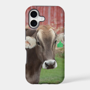Brown Swiss Cow IPhone Case