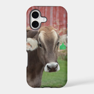 Brown Swiss Cow IPhone Case