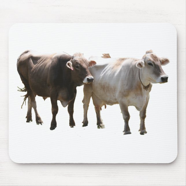 Brown Swiss Cows Mouse Mat (Front)