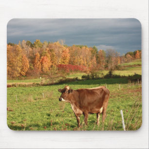 Brown Swiss Mouse Pad