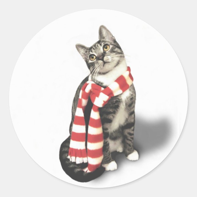 Brown Tabby Cat in a Red and White scarf Classic Round Sticker (Front)
