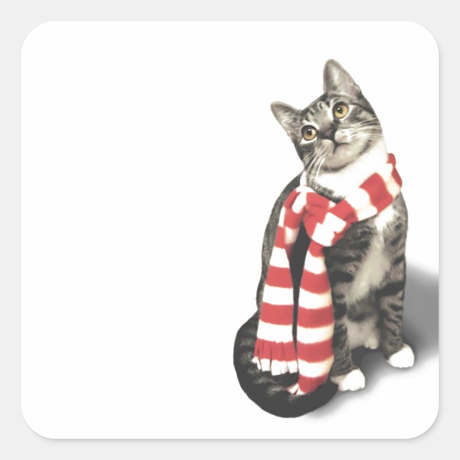 Brown Tabby Cat in a Red and White scarf Square Sticker (Front)