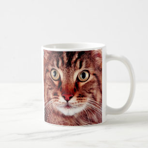 Brown Tabby Cat Mug