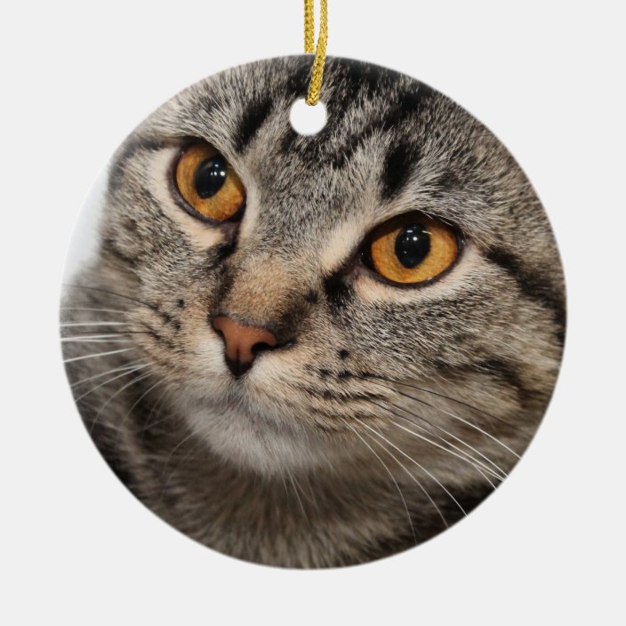 Brown Tabby Cat Ornament 