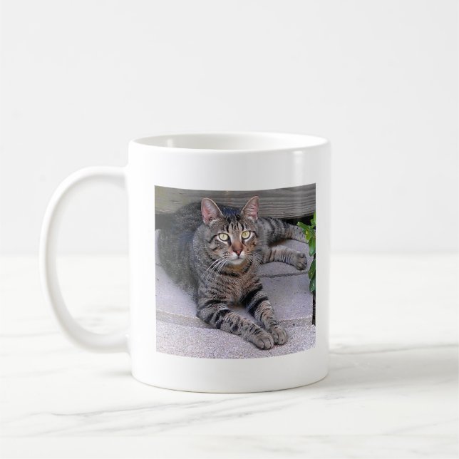 Brown Tabby Cat Outdoors Coffee Mug (Left)