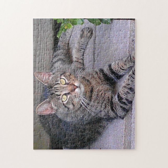 Brown Tabby Cat Outdoors Jigsaw Puzzle (Vertical)